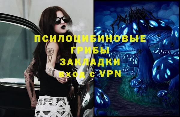 гидра Магадан