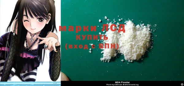 индика Майский
