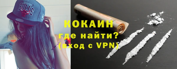 индика Майский
