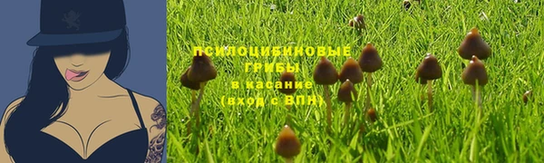 гидра Магадан