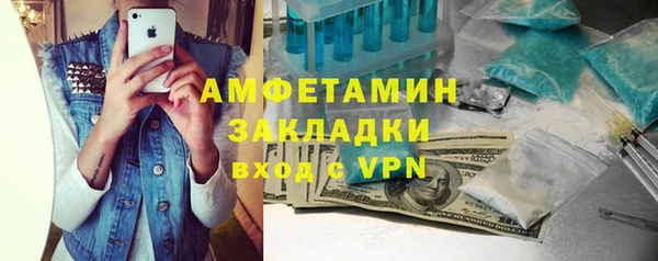 индика Майский