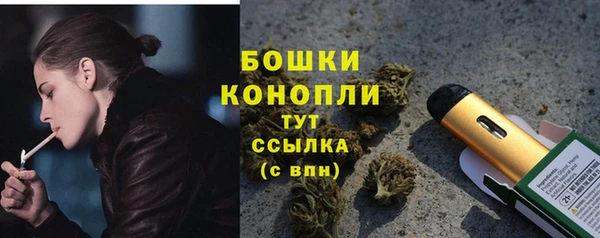 альфа пвп Медвежьегорск