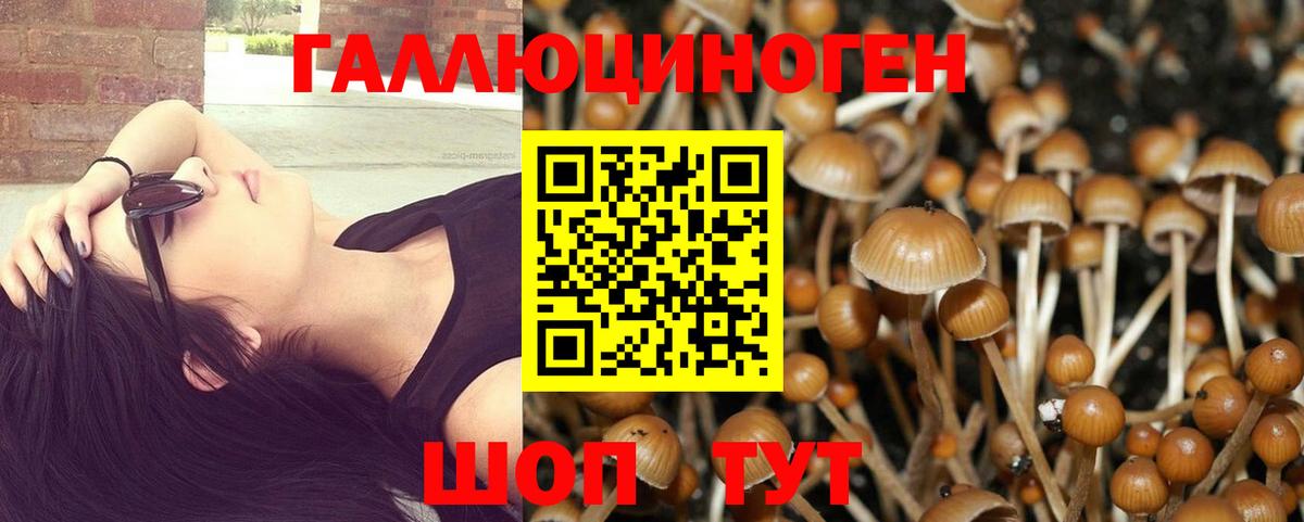 Галлюциногенные грибы GOLDEN TEACHER  где купить наркотик  Ивантеевка 