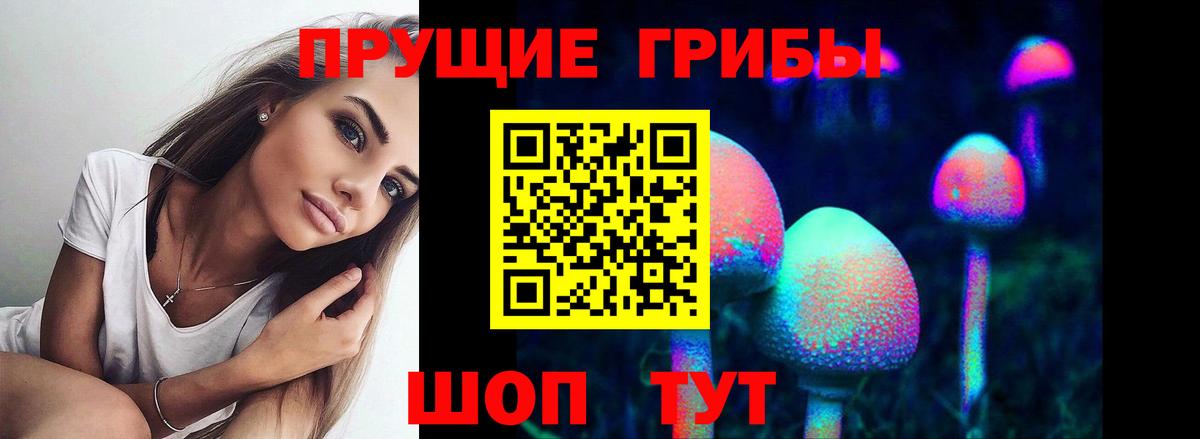 Галлюциногенные грибы Psilocybine cubensis  Вход с VPN  Ивантеевка 