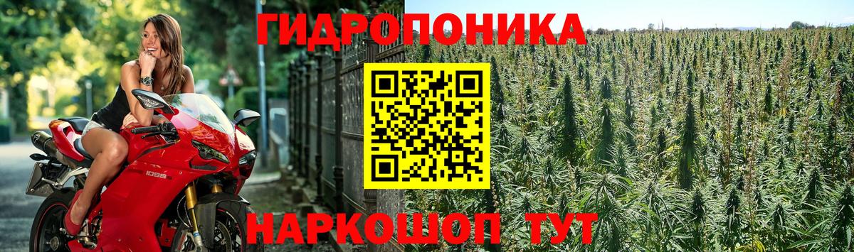 Шишки марихуана THC 21% Ивантеевка